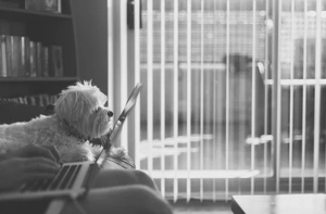Dos And Don’ts: Tales From A Work-From-Home Dropout