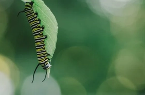 9 Incredible Ways To Repurpose Content