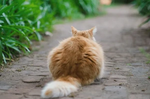 10 Biggest Social Media Mistakes Businesses Make