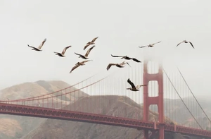 A Checklist for a WordPress Website Migration