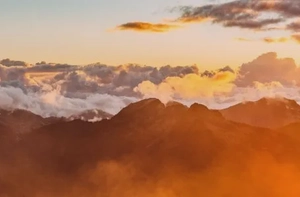 Improving Your Ad Campaigns With Content Marketing