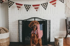 5 inspiring 4th of July email campaign ideas & examples