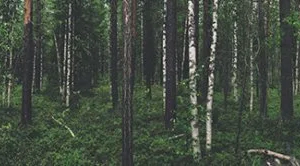 „Evergreen content” – jak tworzyć treści, które pokochają Twoi odbiorcy